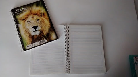 LIBRETA PROFESIONAL MARCA SCRIBE TIPO DOBLE RAYA
