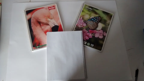 LIBRETA PROFESIONAL MARCA SCRIBE TIPO MIXTA