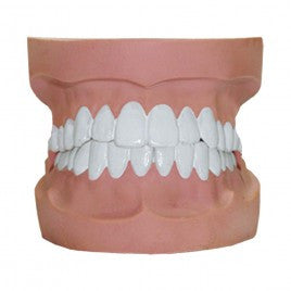 DENTADURA DE VINIL CON 2 MUELAS Y 2 DIENTES