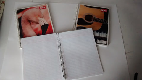 LIBRETA PROFESIONAL MARCA SCRIBE TIPO RAYADA